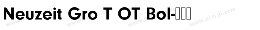 Neuzeit Gro T OT Bol字体转换